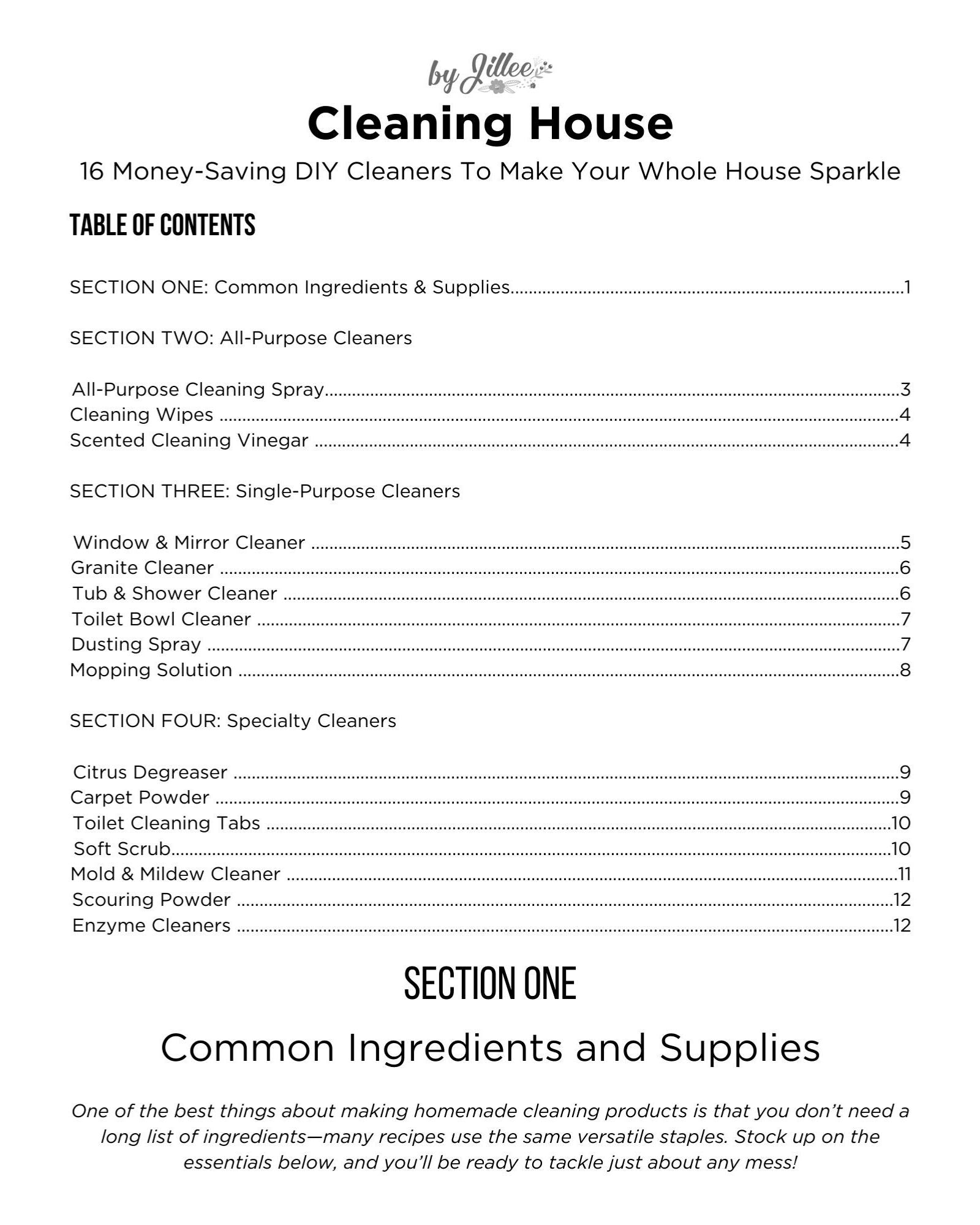 Cleaning House eBook - By Jillee Shop