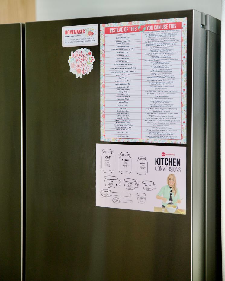 The Essential Ingredient Substitutions Magnet - By Jillee Shop